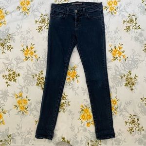 J Brand Size 27 Skinny Leg Jean